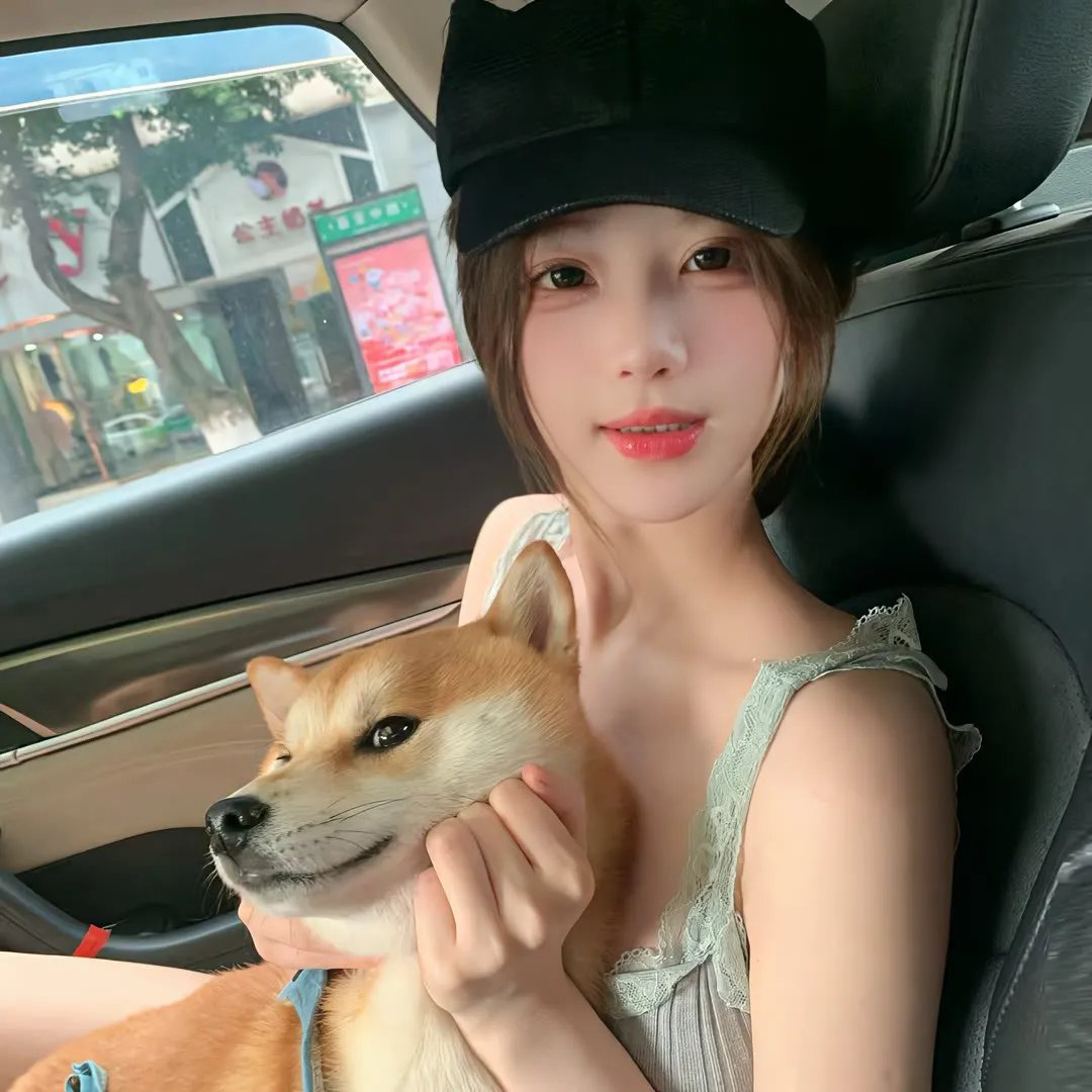 犬之力
